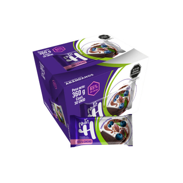 Chocolate con arándanos ( 10g )